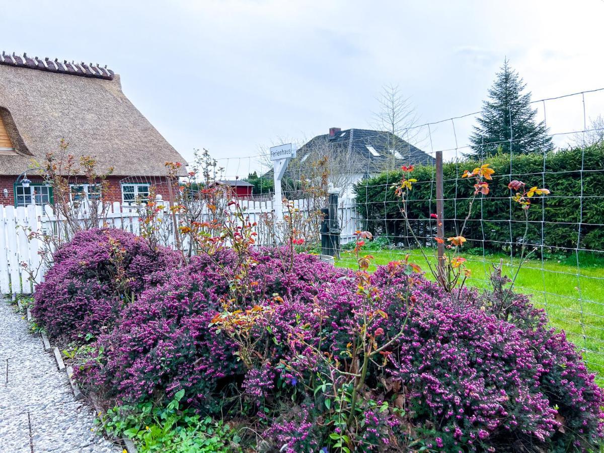 Ferienhaus 800M Zur Ostsee, Hund, Strand, Meer, Geltinger Bucht Villa Steinberg  Exterior photo